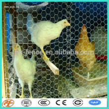 60*60 chicken wire mesh hot dipped galvanised